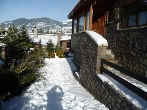 Chalet Le Blanc Villa Arachova Exterior photo